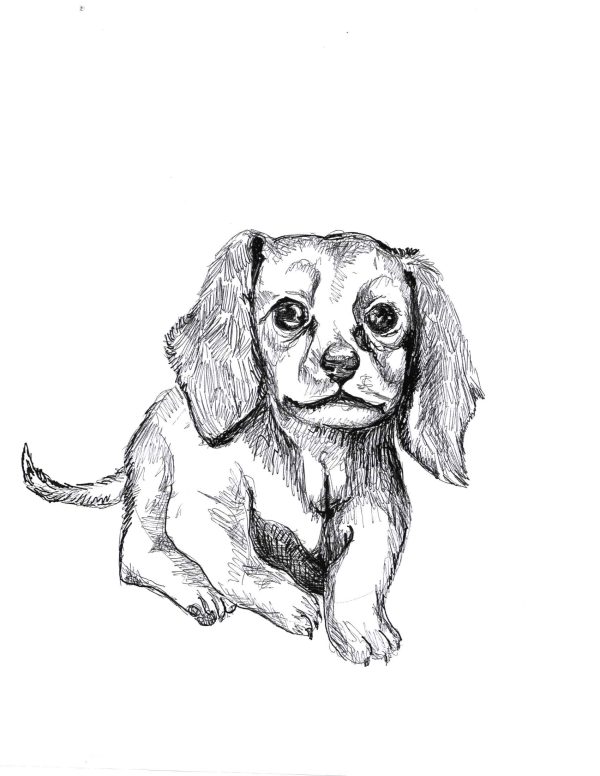 Dogs of Manayunk illustration 5