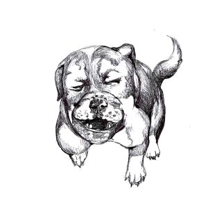 Dogs of Manayunk illustration 32