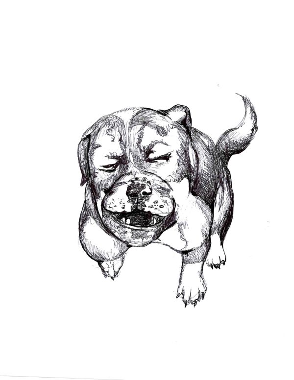 Dogs of Manayunk illustration 32