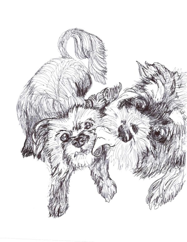 Dogs of Fishtown illustration 4