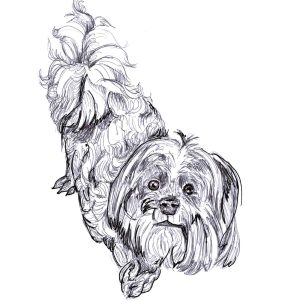Dogs of Manayunk illustration 33