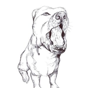 Dogs of Fishtown illustration 5