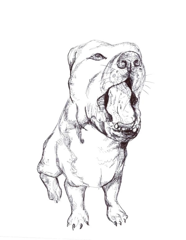 Dogs of Fishtown illustration 5