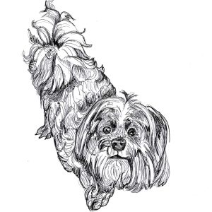 Dogs of Manayunk illustration 34