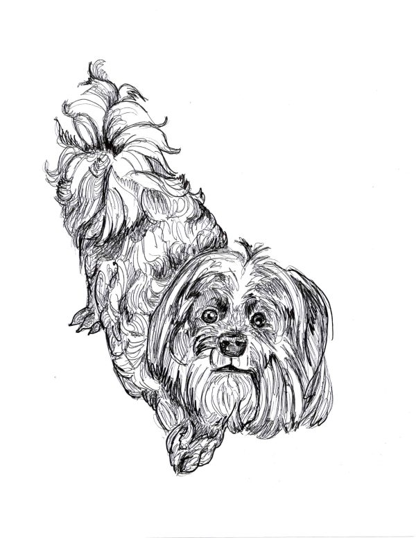 Dogs of Manayunk illustration 34