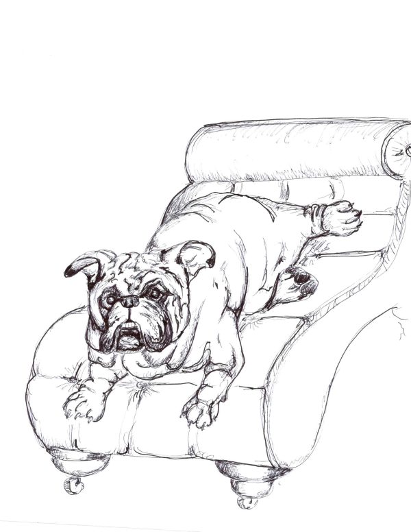 Dogs of Fishtown illustration 6