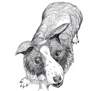 Dogs of Manayunk illustration 37