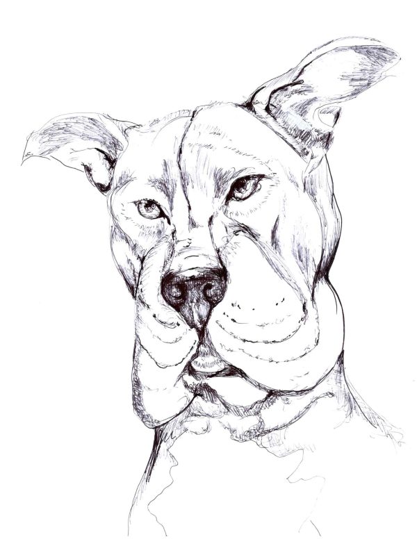 Dogs of Fishtown illustration 7