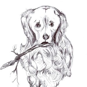 Dogs of Fishtown illustration 8