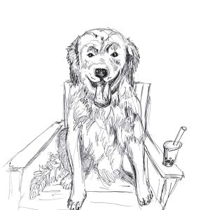 Dogs of Manayunk illustration 39