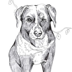 Dogs of Manayunk illustration 40