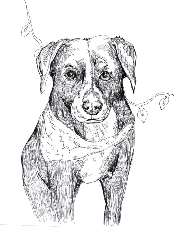 Dogs of Manayunk illustration 40