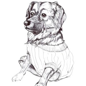 Dogs of Manayunk illustration 41
