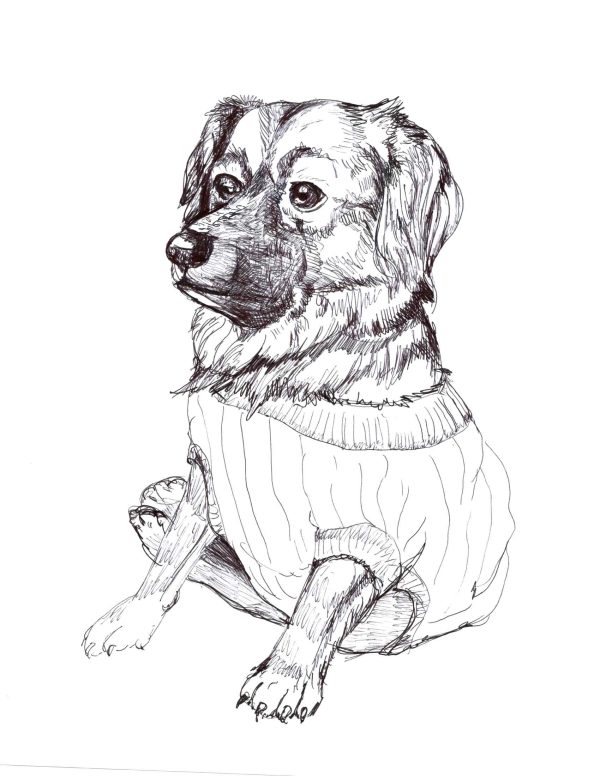 Dogs of Manayunk illustration 41