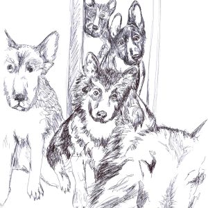 Dogs of Manayunk illustration 6