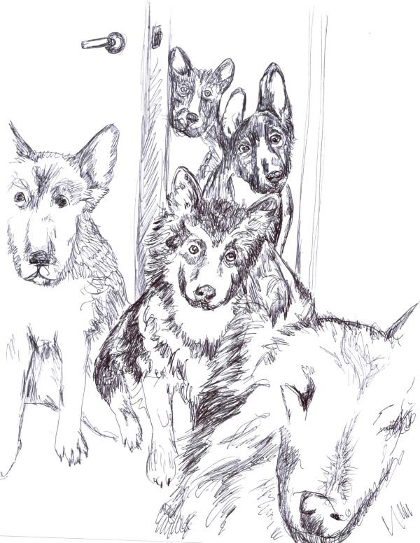 Dogs of Manayunk illustration 6