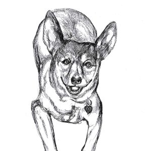 Dogs of Manayunk illustration 42