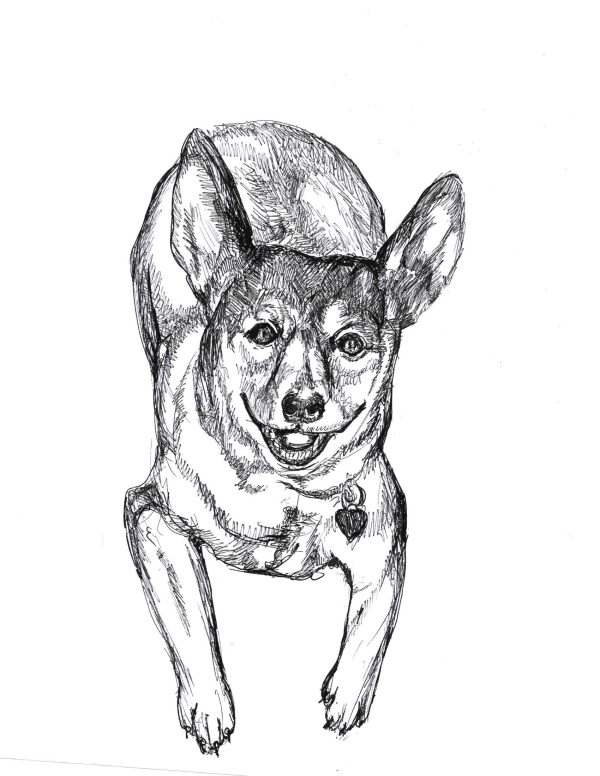 Dogs of Manayunk illustration 42