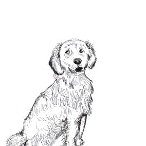 Dogs of Manayunk illustration 43