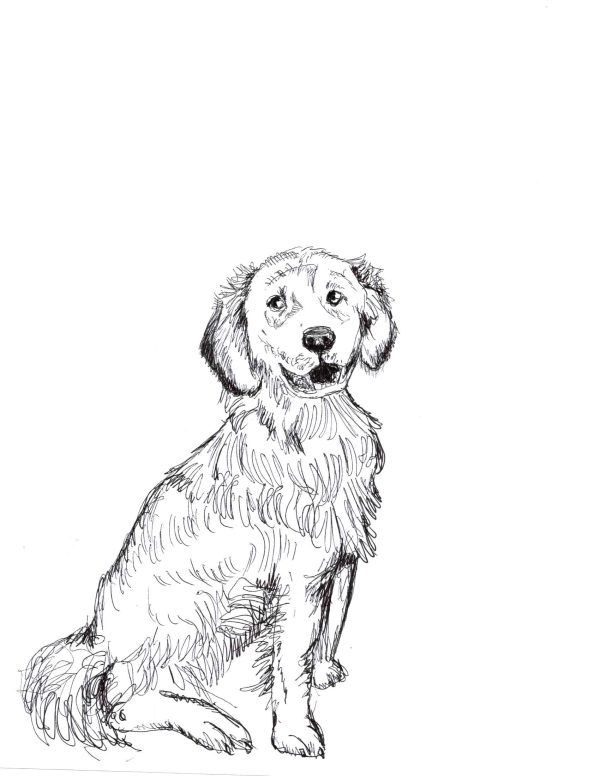 Dogs of Manayunk illustration 43
