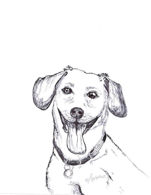 Dogs of Manayunk illustration 44
