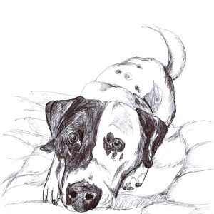 Dogs of Manayunk illustration 45