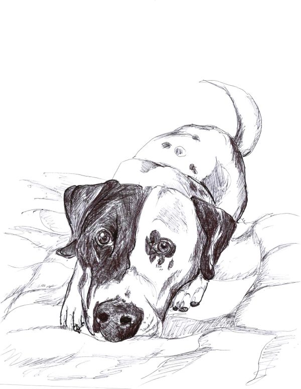 Dogs of Manayunk illustration 45