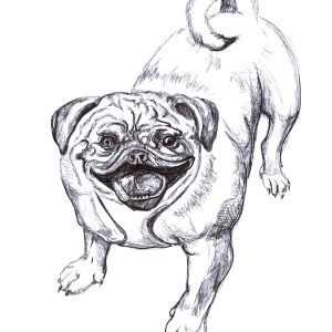 Dogs of Manayunk illustration 46