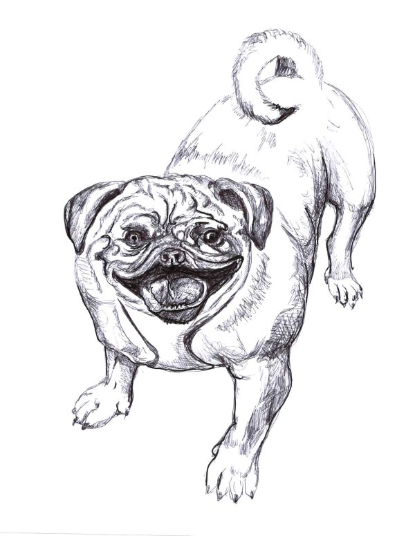 Dogs of Manayunk illustration 46