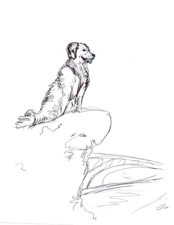 Dogs of Manayunk illustration 47