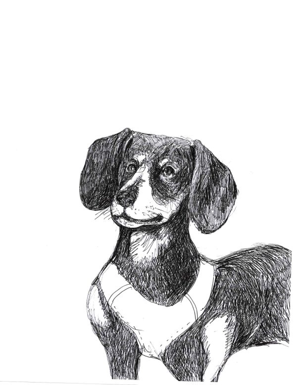 Dogs of Manayunk illustration 48