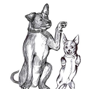 Dogs of Manayunk illustration 49