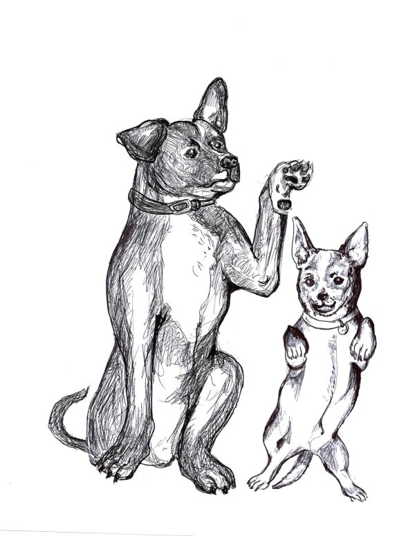 Dogs of Manayunk illustration 49
