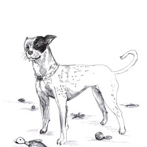 Dogs of Manayunk illustration 50
