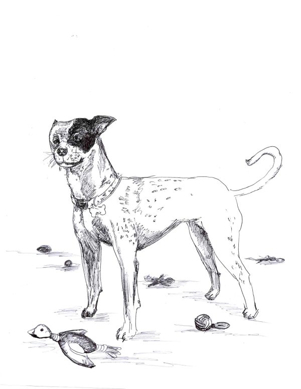 Dogs of Manayunk illustration 50