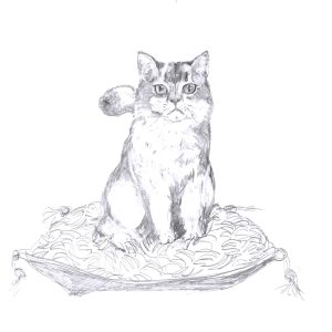 Angora