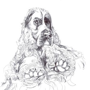Reggie Water dog