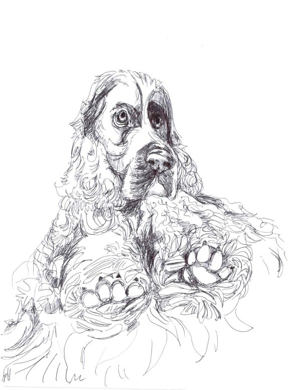 Reggie Water dog