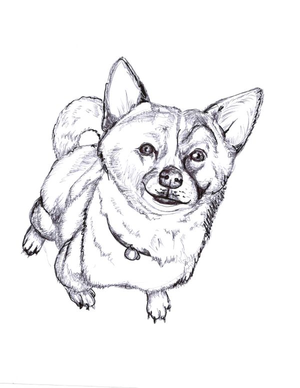 Dogs of Manayunk illustration 7