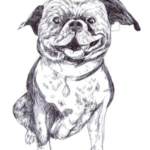Dogs of Manayunk illustration 52