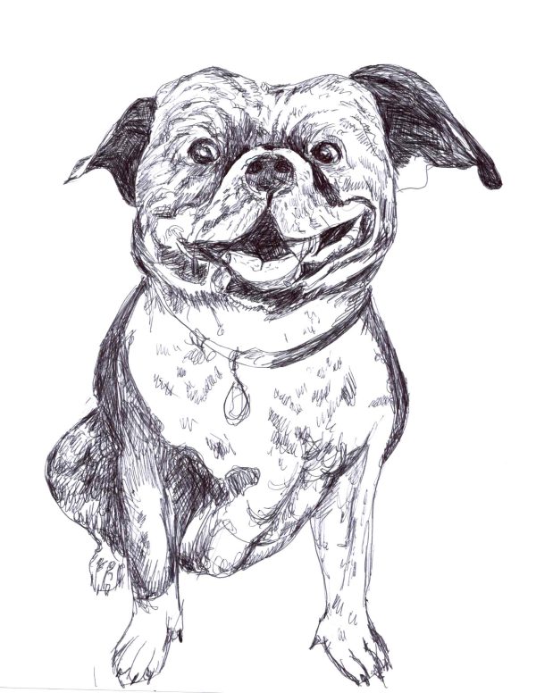 Dogs of Manayunk illustration 52