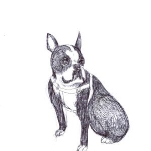 Dogs of Manayunk illustration 53