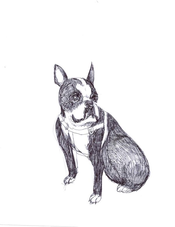Dogs of Manayunk illustration 53