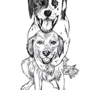 Dogs of Manayunk illustration 54