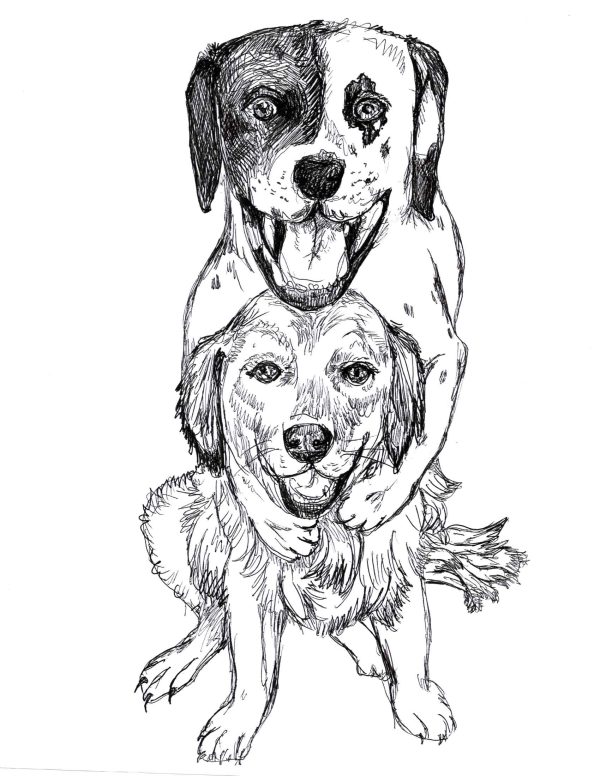 Dogs of Manayunk illustration 54