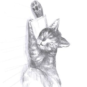Cat illustration 9