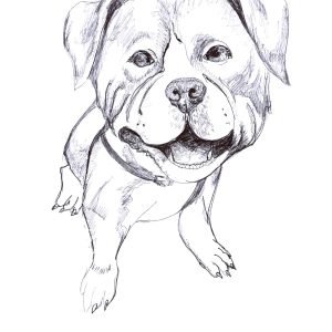 Dogs of Manayunk illustration 9