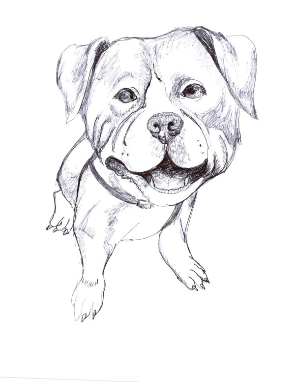 Dogs of Manayunk illustration 9