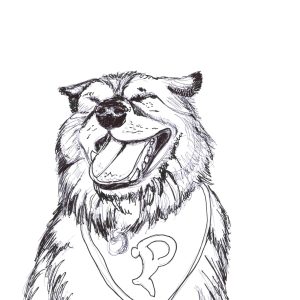 Malamute Sports fan