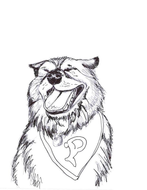 Malamute Sports fan